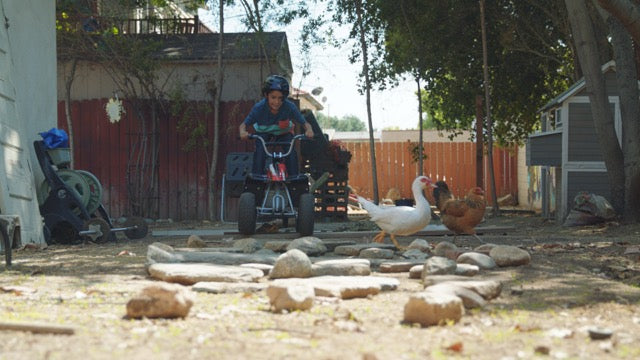 Razor Dirt Quad Black 13km/hr 8+